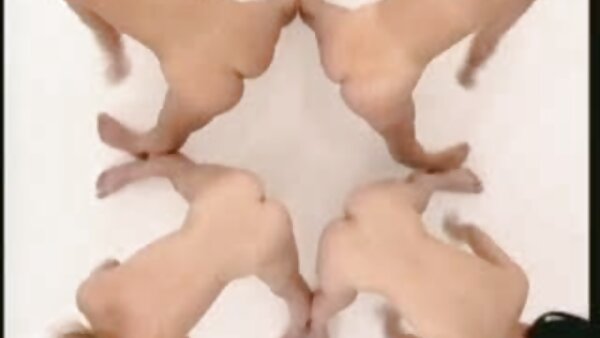 الفك إسقاط خنثى وقحة ضربات افلام سكس مدبلج عربي الديك وركوب الخيل عكس ذلك